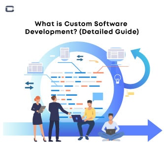 What is Custom Software Development (Detailed Guide)